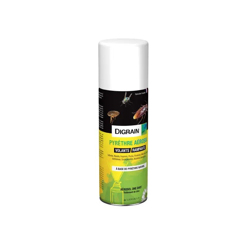 Digrain Pyrèthre Aérosol - Insectoff Professionnel