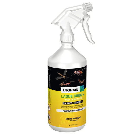 Laque Choc + Digrain - insectes volants et rampants - Insectoff Professionnel